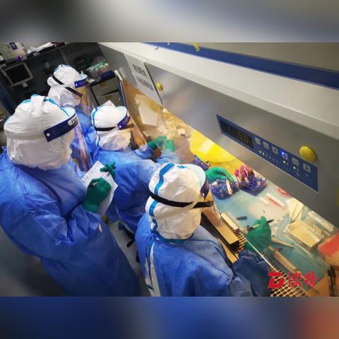 火线出击Online最新版本：全新升级，更多刺激战斗玩法等你来体验！