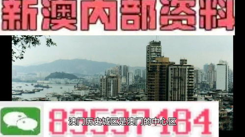 2024香港正版资料免费大全精准|探秘澳门独特魅力与文化_激发版.2.501